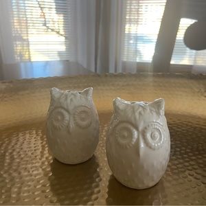 Owl salt and pepper shakers
